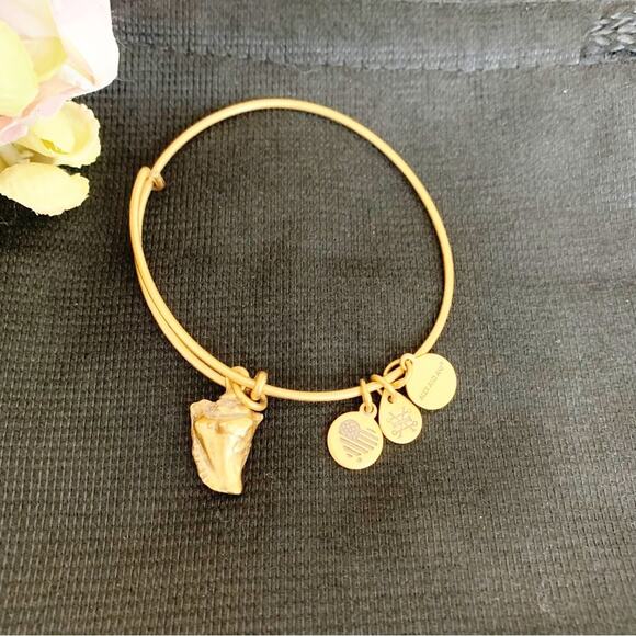 Alex and Ani Rafaelian Gold Conch Shell Charm Wire Bangle Bracelet  NIB - Picture 4 of 4